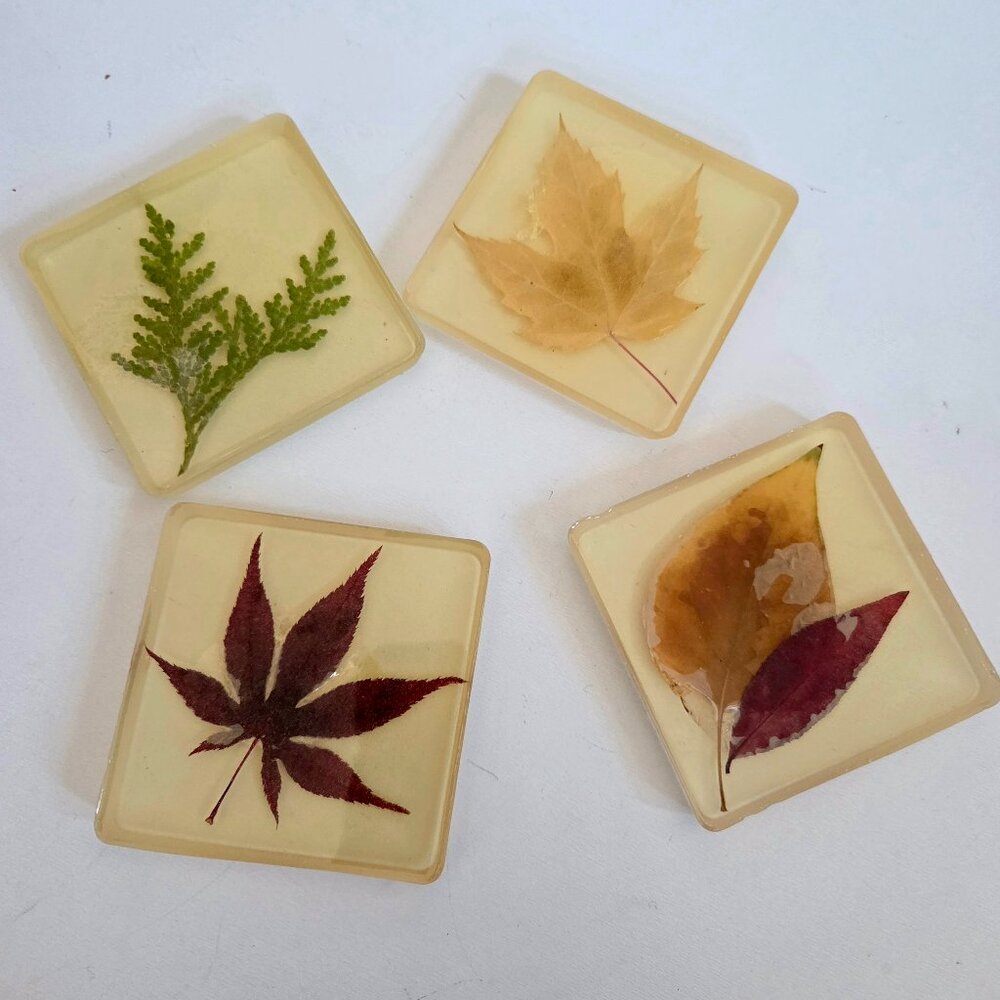 Set of 4 vintage handmade Lucite coasters with dry pressed leaves.